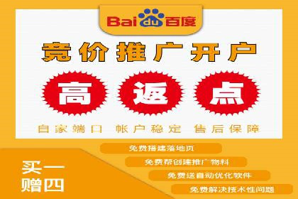 百度SEO推广技巧案例分析